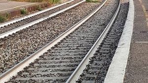 Cucciago, un treno merci investe un grosso cervo