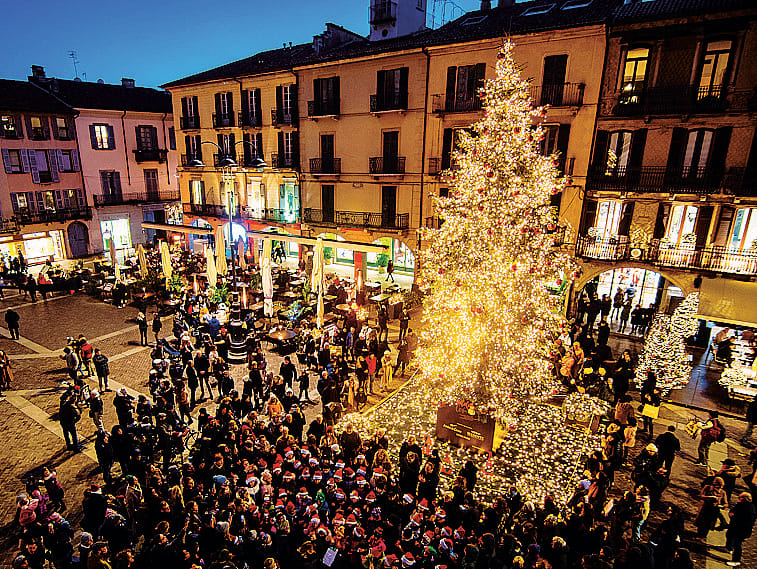 Caccia all’albero di Natale per la città