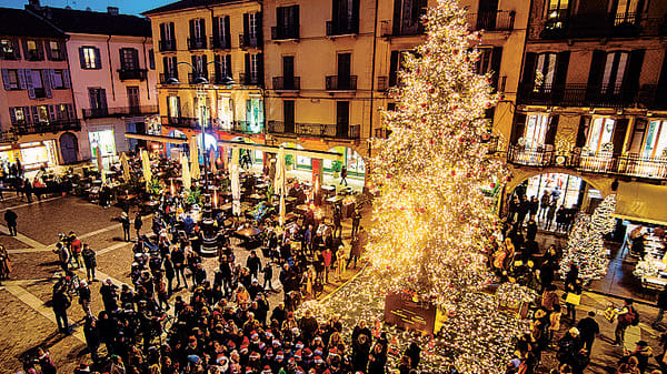 Caccia all’albero di Natale per la città