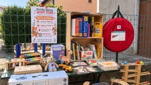 L’educatrice svuota casa: giochi gratis  e donazioni per le famiglie in difficoltà