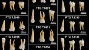 9c8f3896-068e-11f1-8e99-59a411c1f2b9