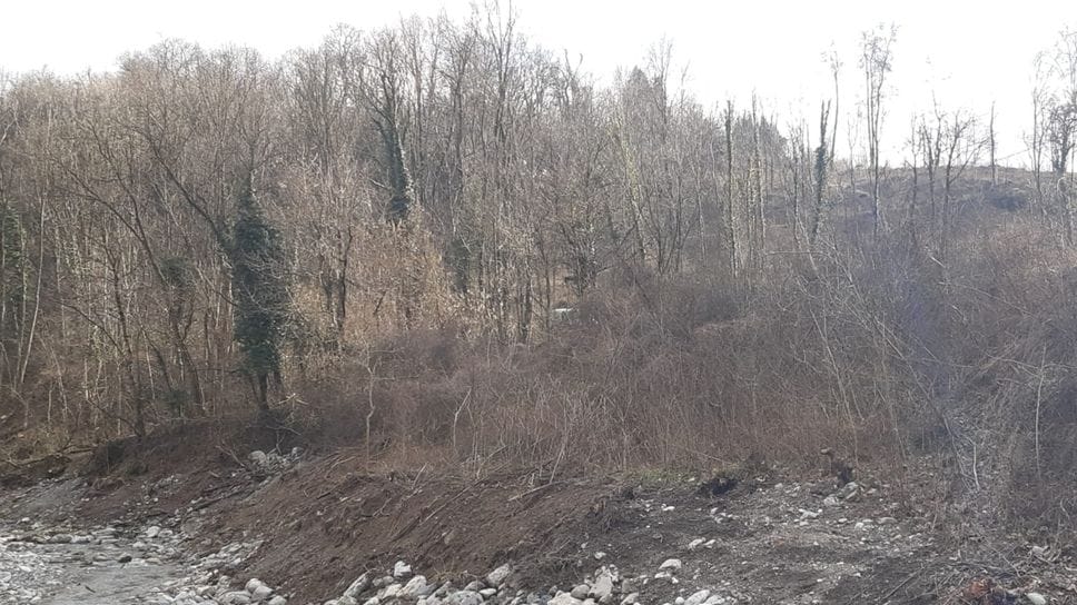 Nella valle del Cosia ampie zone sono disboscate dopo i temporali di settembre e i lavori di questi mesi