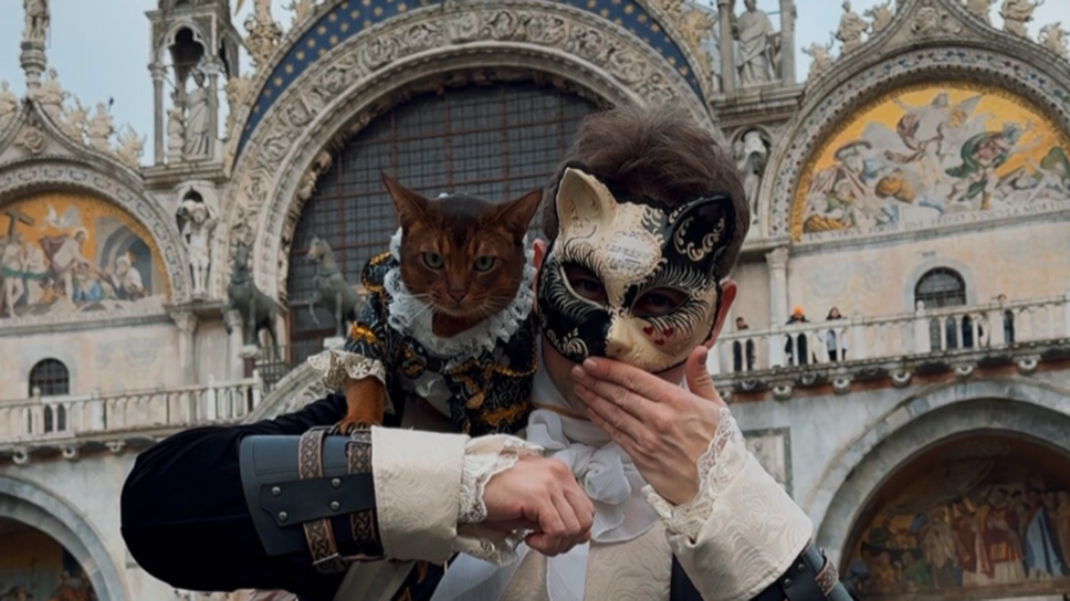Mykola e Sensej a Venezia (IG: @sensej_cats)