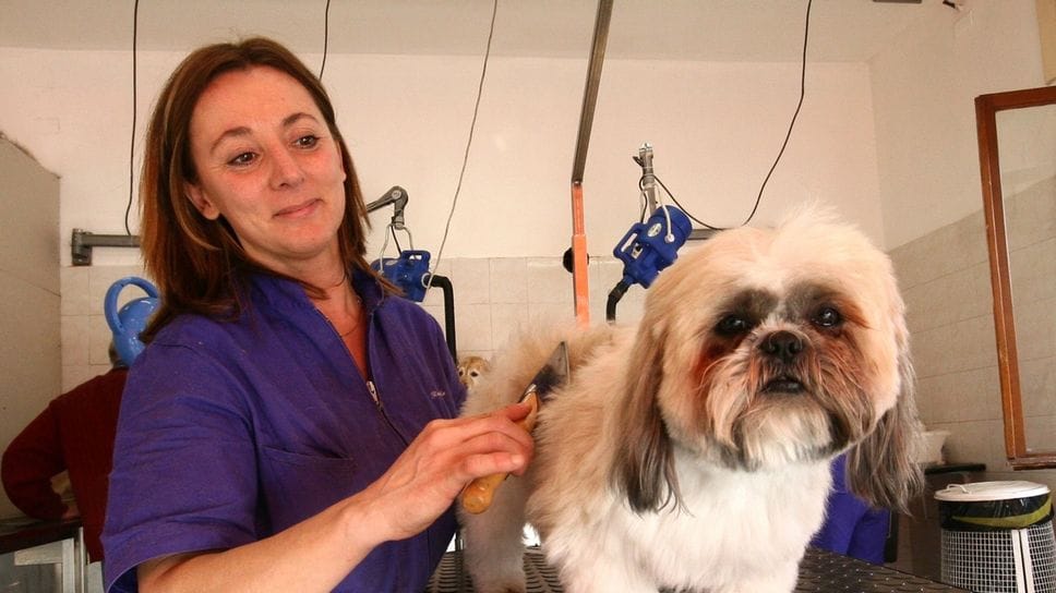 Nuova imprenditorialità nel settore dei servizi