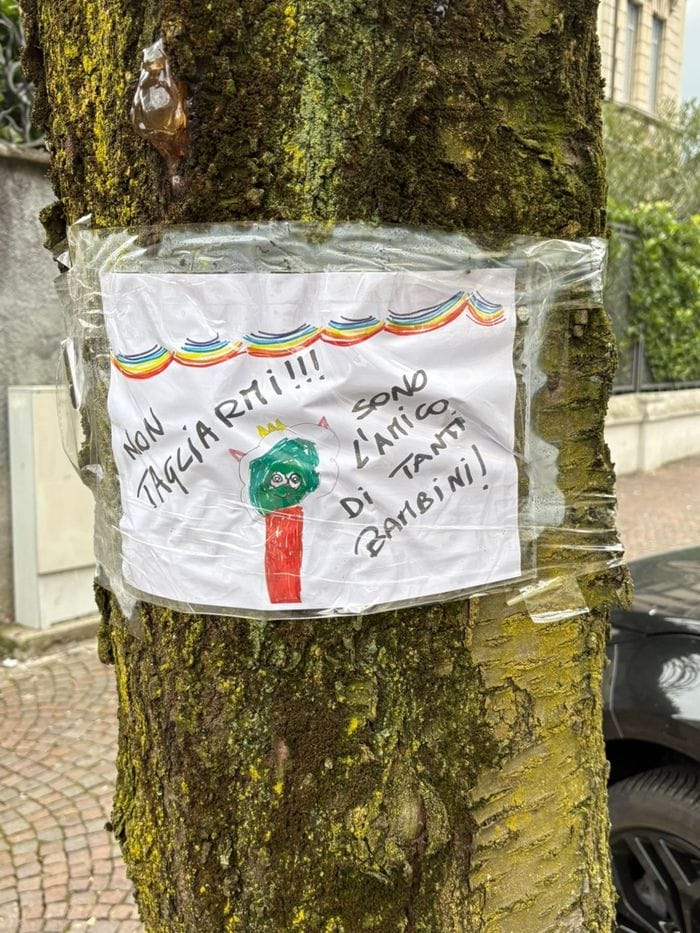 Il cartello con il disegno di un bambino comparso sul tronco di una pianta in via XX Settembre