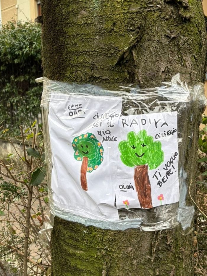 Il cartello con il disegno di un bambino comparso sul tronco di una pianta in via XX Settembre