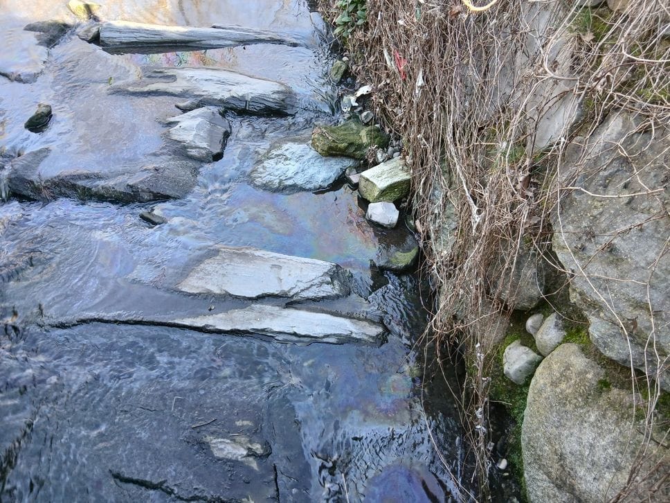 La presenza del gasolio nella roggia è ben visibile a occhio nudo