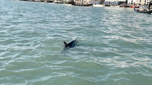 bf33a6c0-13f9-11f1-816f-d2e3a480d3bc