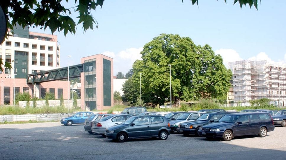 L’ippocastano di via Aldo Moro resistette per altri 28 anni dopo i primi tentativi di abbatterlo