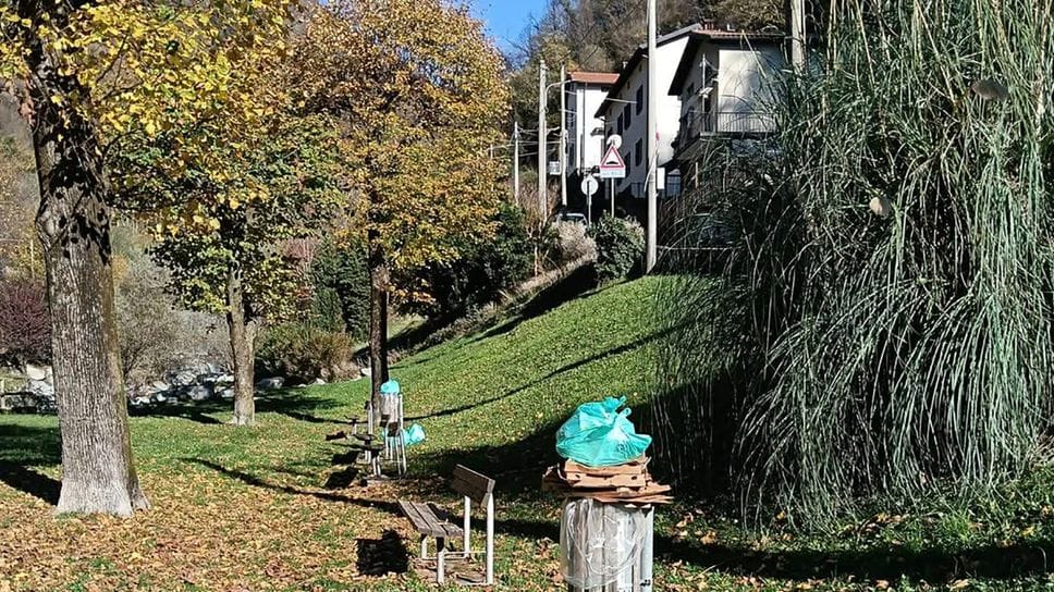 I cestini dei rifiuti al parco riempiti che sacchetti domestici