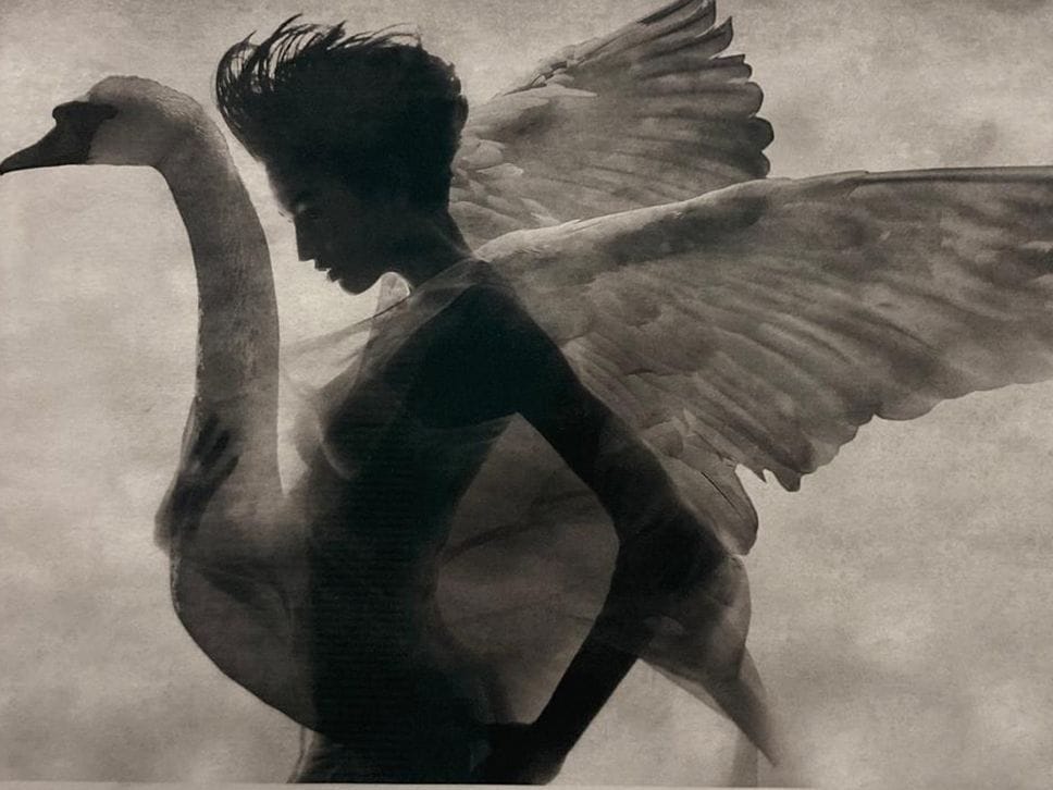 Leda e il cigno, 2019 della serie “Dee”