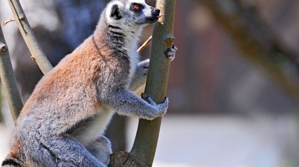 f0182a68-242a-11f1-aeff-3c691be3e939