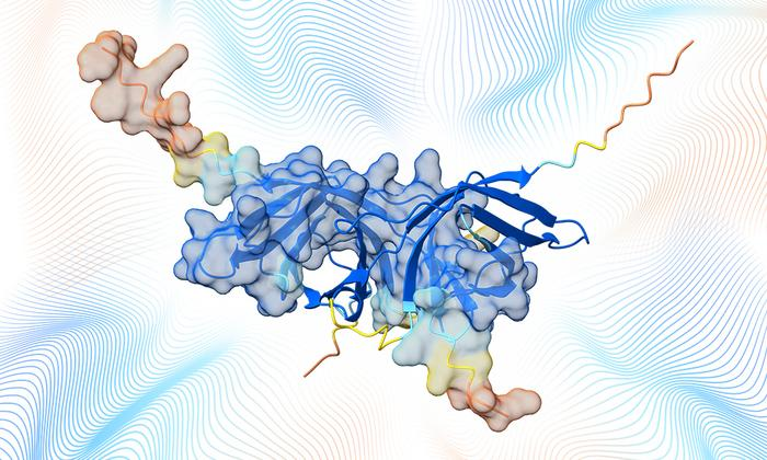 Immagine per 86def8de-2429-11f1-aeff-3c691be3e939