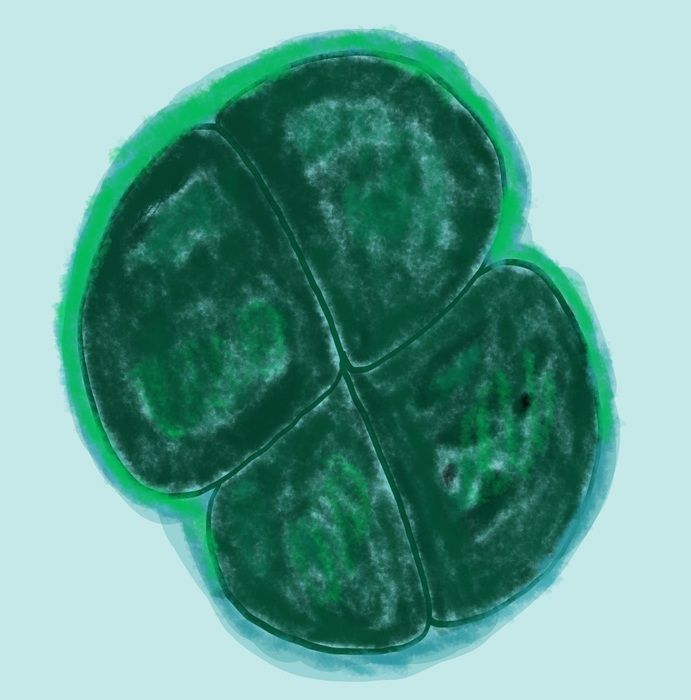 Così batteri possono viaggiare tra i pianeti