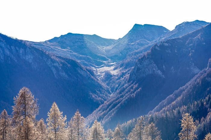 Banca del Dna dei boschi del Piemonte, i semi per il cambiamento climatico