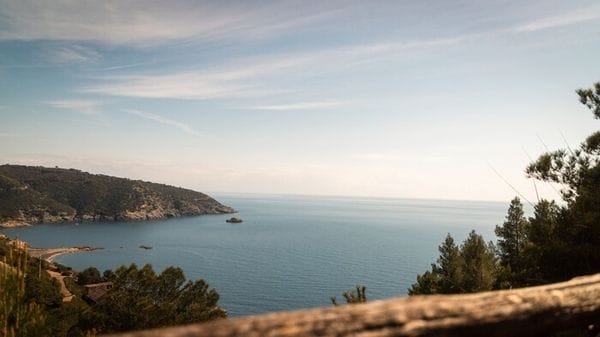 Tre elbani su quattro chiedono decarbonizzazione, isola si candida a modello