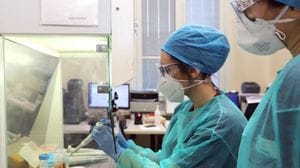 Influenza aviaria, in Lombardia il primo caso umano su tutta Europa