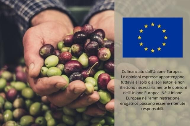 Immagine per ansa-f2a9292c-c6ce-4a11-99a1-6125c871e72e