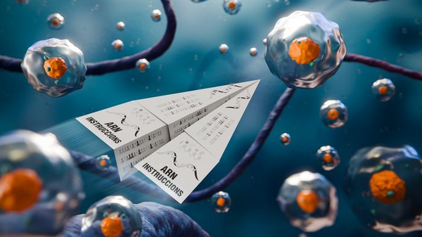 Le cellule tumorali riscrivono le loro istruzioni genetiche