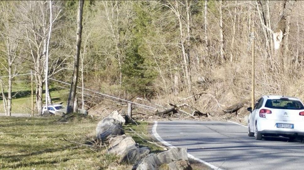 Pian del Tivano, il vento fa cadere un albero: tranciati i cavi elettrici
