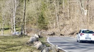 Pian del Tivano, il vento fa cadere un albero: tranciati i cavi elettrici