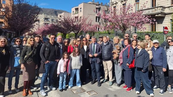 Ciliegi tutti in fiore. E il comitato fa festa