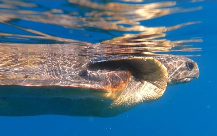 A Venezia nuova sede del Biodiversity Gate, ponte tra ricerca e società