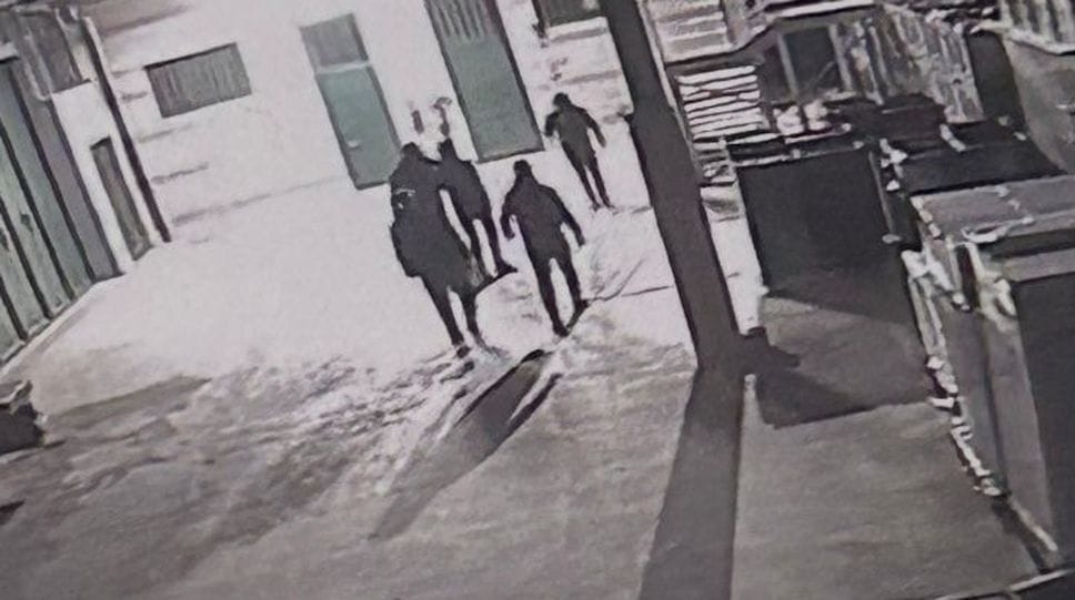 Sei ladri alla floricoltura: messi in fuga dai titolari