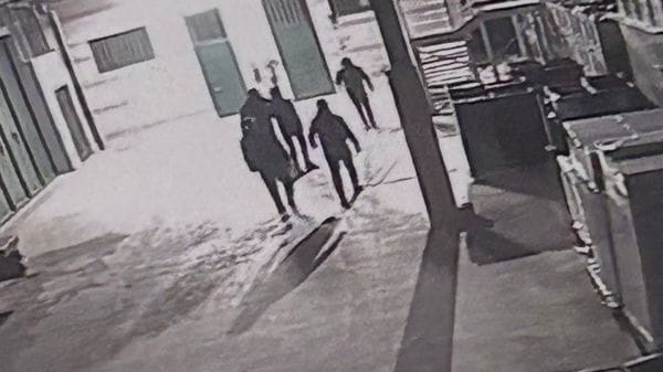 Sei ladri alla floricoltura: messi in fuga dai titolari