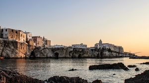 Immagine per 8366ecec-1930-11f1-b36b-4893571be2f4