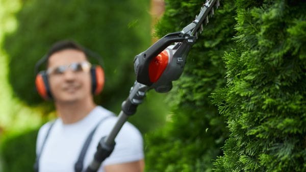 Le imprese del verde cresciute del 10%. Patto per la formazione