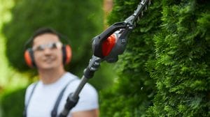 Le imprese del verde cresciute del 10%. Patto per la formazione