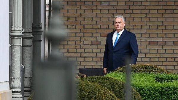 Immagine per ansa-b176e3c0-723f-41da-b823-17a305870ae1