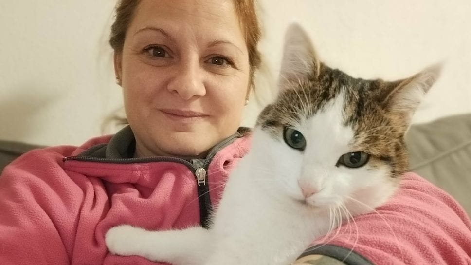 I ladri rompono la finestra: arriva il gatto e li mette in fuga