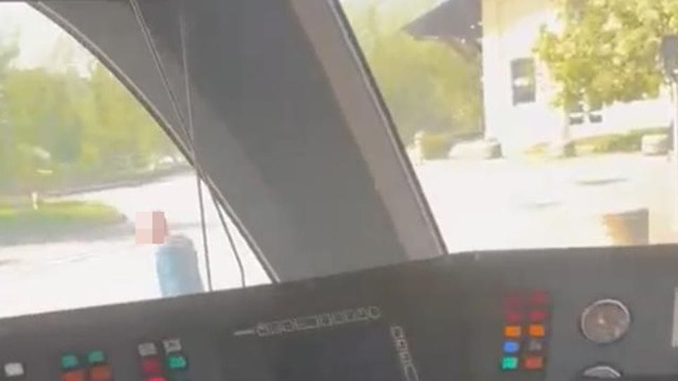 Vetri del treno rotti e minacce: ecco le immagini del vandalo