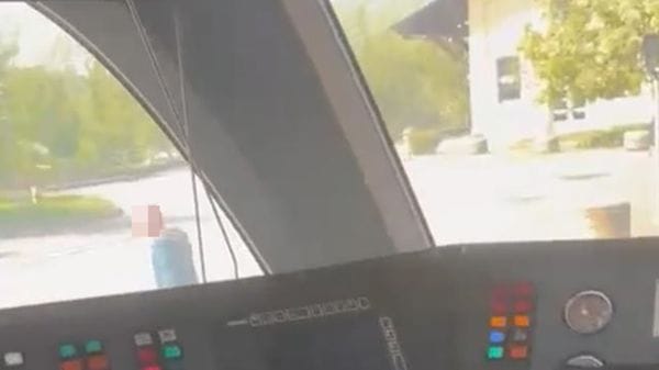 Vetri del treno rotti e minacce: ecco le immagini del vandalo