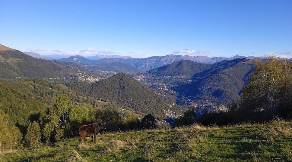 I brasiliani in Val d’Intelvi, «una comunità importante e ben integrata»