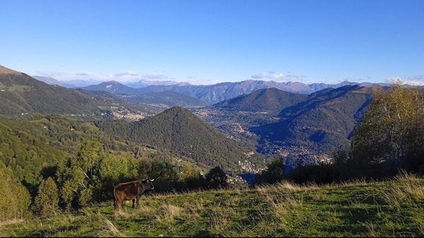 I brasiliani in Val d’Intelvi, «una comunità importante e ben integrata»