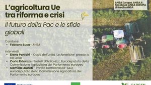 Immagine per ansa-fc77e0dc-440e-419b-aa25-03e1d60e86c3