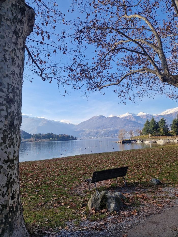 Le indagini per Rosa Teruzzi sono una questione di umanità