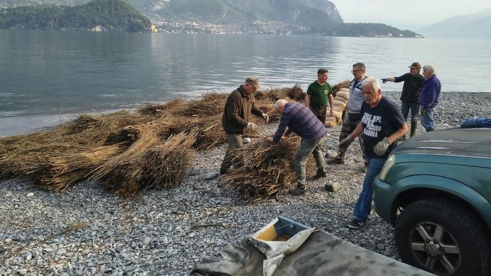 Nel lago la “nursery” del persico. Per il ripopolamento 450 fascine