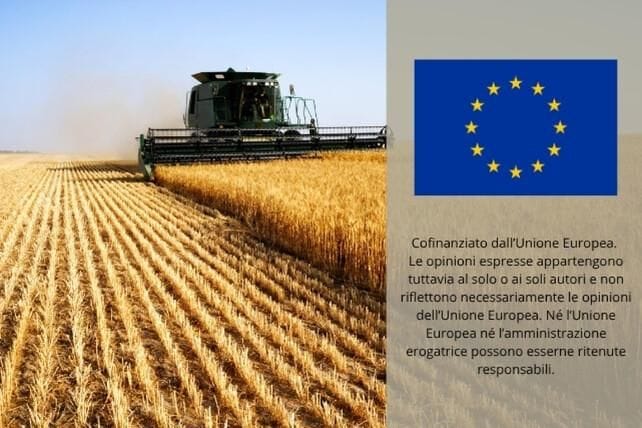 Immagine per ansa-3b1f1e3a-470d-4557-9b92-b0064997e1ef