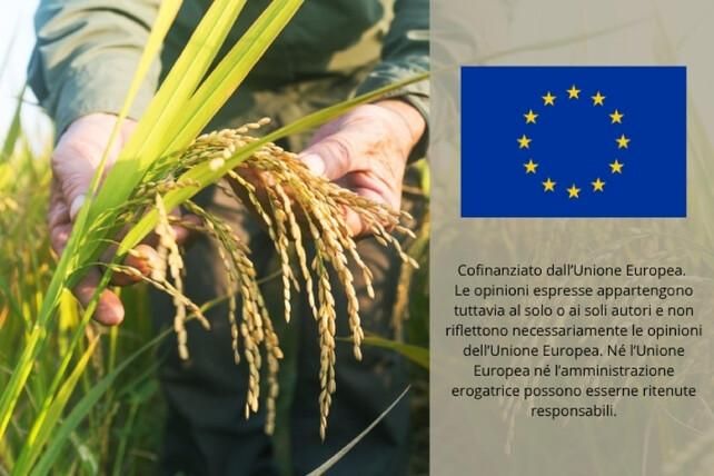 Immagine per ansa-ca9be853-3756-461b-8a42-cf84a2fdedb4