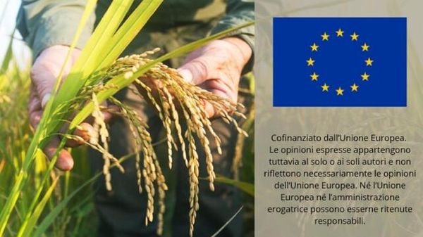 Immagine per ansa-ca9be853-3756-461b-8a42-cf84a2fdedb4