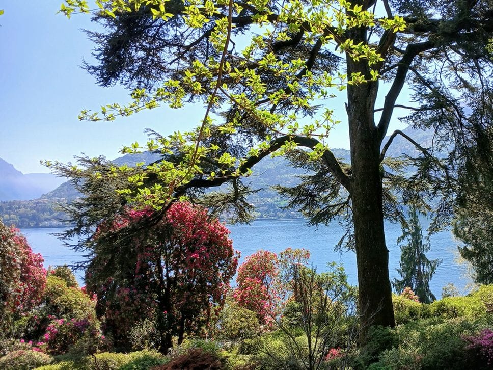 Il Financial Times racconta il business Como: «Una volta era solo una squadra di calcio, ora costruisce un impero»