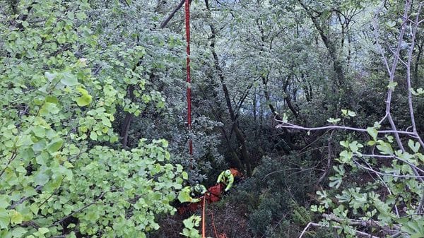 Motociclista cade nel dirupo: salvato dalla fitta vegetazione