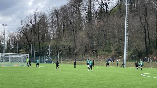 Serenza juniores: insulti all’arbitro straniero e mani al collo di un dirigente. Maxi squalifiche 