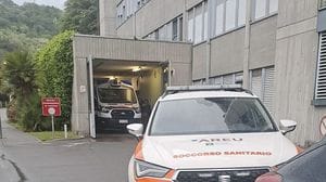 Grandola, in moto contro un piccolo cervo: ferito il centauro