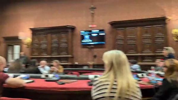 lissi sfiducia bodero