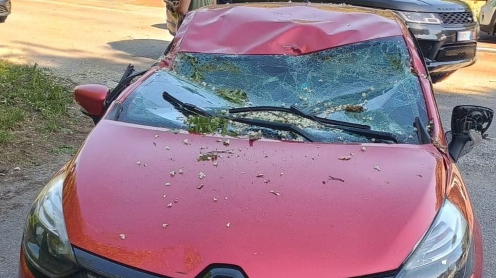 Ramo su auto, paura per madre e figlia